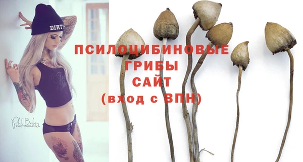 шишки Богородск