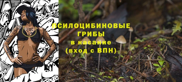 молекула духа Белокуриха