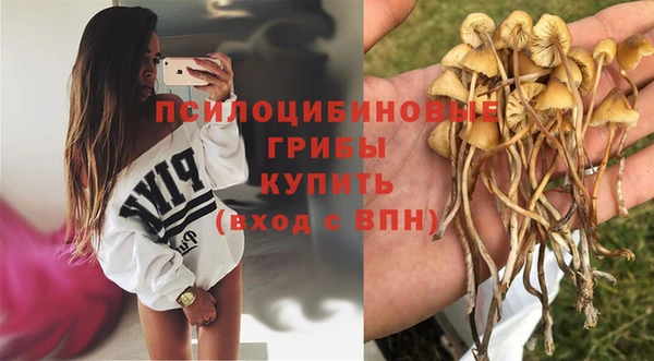 гидропоника Белоозёрский