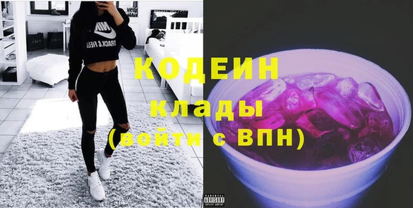 шишки Богородск