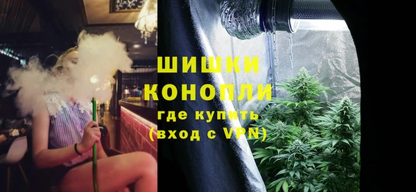 шишки Богородск