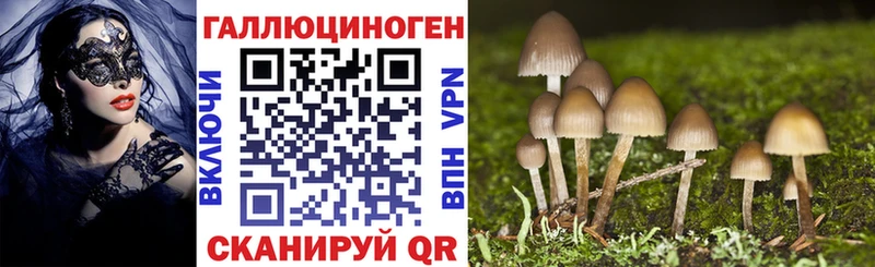 Псилоцибиновые грибы мицелий Бобров