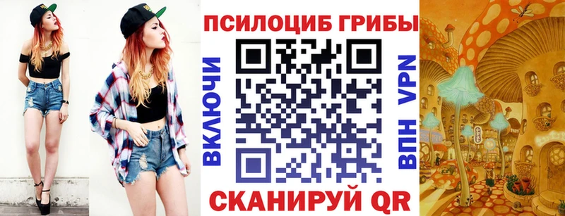 Галлюциногенные грибы GOLDEN TEACHER  продажа наркотиков  блэк спрут онион  Бобров 