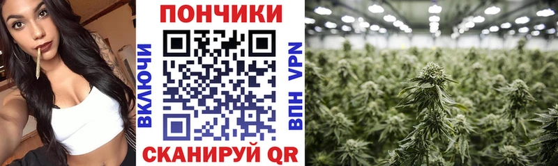 Каннабис тримм  Бобров 